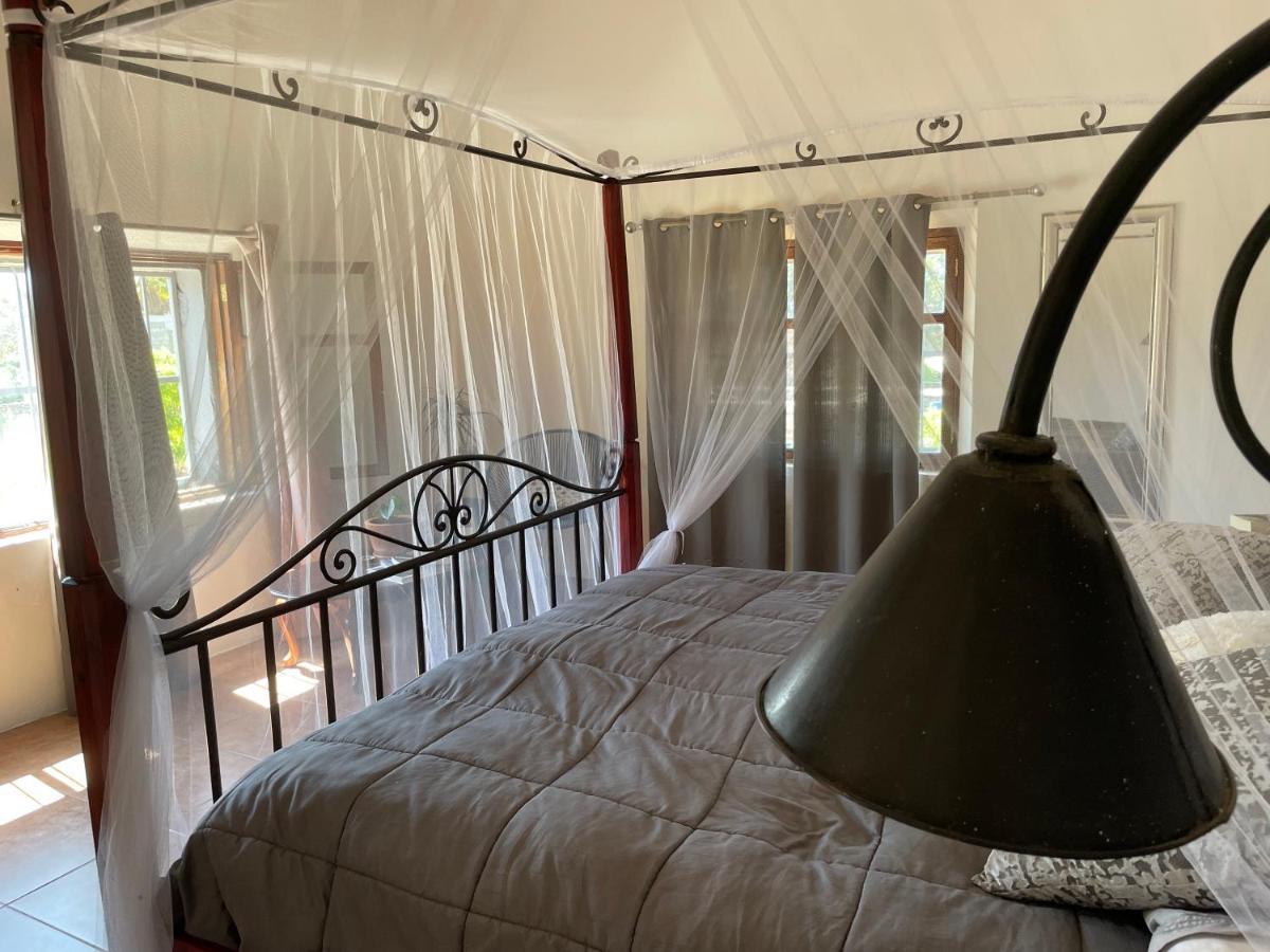 Casa Wong Διαμέρισμα Todos Santos Εξωτερικό φωτογραφία